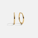 Verbena 18K Gold Earrings - 15MM